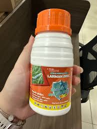 Larman 28SC