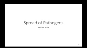 The spread of pathogens pogil answer key. The Spread Of Pathogens Pogil Worksheet Answer Key Pogil Isotopes Worksheet Answer Key