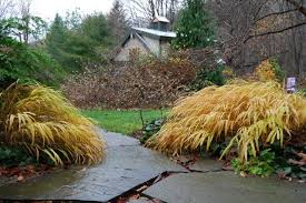 Its bright foliage forms a cascading mound of gracefully arching, slender blades that tend to become chartreuse in shade, and pure gold in the sun. 16 Hakonechloa Plant Combination Ideas Shade Garden Plants Outdoor Gardens