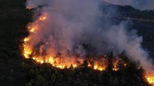 A más de una semana de iniciado el incendio en el bolsón, unos 130 brigadistas se encuentran también informaron que estiman que la superficie que fue afectada por el incendio es de unas 7.800. Fuego Descontrolado En La Zona De El Bolson Quemo 6 500 Hectareas Y Avanza Hacia Chubut