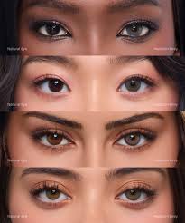 Madison Grey (1-Day)