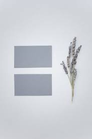 Studio background hd psd for photoshop. 100 000 Best Studio Background Photos 100 Free Download Pexels Stock Photos