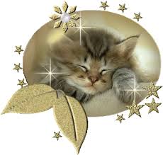 Vous Trouverez Aussi Des Centaines D Autres Gifs De La Meme Categorie Pour Toutes Ces Images Trouvees Sur Le Net Un Grand Merci A L Chat Bonne Nuit Gif Anime