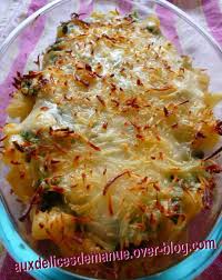 Gratin De Pates Aux Epinards Et Boeuf Auxdelicesdemanue Pates Epinard Gratin De Pates Epinard