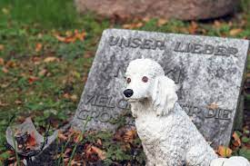 Zunächst einmal muss es sich um das eigene grundstück handeln. Strenge Vorschriften Bei Der Bestattung Von Haustieren