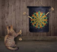 153 Darts Funny Photos - Free & Royalty-Free Stock Photos from Dreamstime