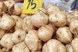 Unlock this answer and browse ad‑free . Premium Photo Mexican Yam At Street Food