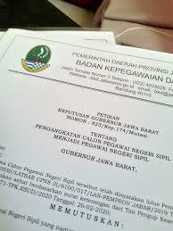 Salah satunya yakni membedakan dokumen sk cpns 2019 asli dan palsu. Pengalaman Lolos Tes Cpns Guru Mulai Dari Skd Skb Sampai Dapat Sk Mata Pendidikan