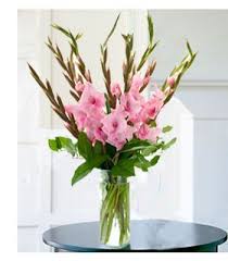 Zoom Gladscopy090207123030 Jpg 350 400 Flower Arrangements Simple Gladiolus Arrangements Gladiolus Flower