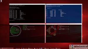 The football association women's super league ( fa wsl ), and currently known as the barclays fa women's super league for sponsorship reasons, is the highest league of women's football in england. Build 2020 What Is New In Windows Subsystem For Linux Wsl Wincentral
