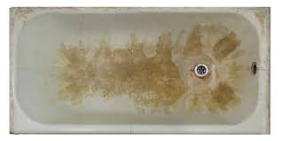 Badewanne Austauschen Mit Diesen Kosten Ist Zu Rechnen