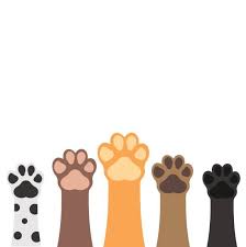 Paws Up Pets Set Isolated On White Background Vector Illustration Paw Illustration Dog Illustration Paw Wallpaper