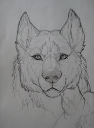 Pin By Bell On Wolf Animal Drawings Art Drawings Animal Sketches