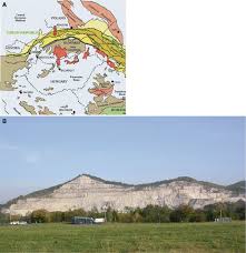 Check spelling or type a new query. Triploporella Remesi Steinmann 1903 Dasycladalean Green Alga From The Tithonian Lower Berriasian Of Stramberk Czech Republic Revisited Springerlink