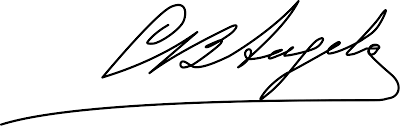 O código eleitoral determinava o direito de voto a todos os portugueses maiores de vinte e um anos. Ficheiro Carolina Beatriz Angelo Signature Svg Wikipedia A Enciclopedia Livre