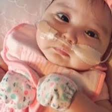 Fundraiser by Andrea Bravo : Abby's funeral