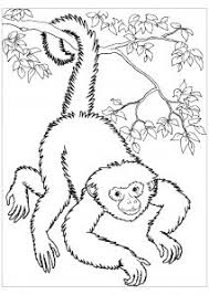 He is simple for preschoolers and toddlers. Monkeys Free Printable Coloring Pages For Kids