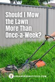 Mowing The Lawn Tips For Home Mowing Lawn Care Lawn
