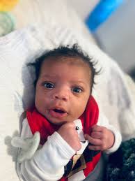 Remembering a beloved pet dog Kryngle