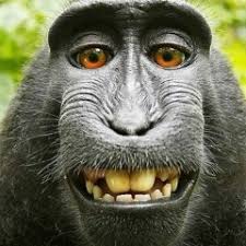 Stream Dennis-Mario Meier music