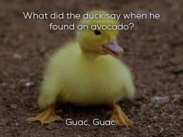 I told my friend 10 jokes to get him to laugh. Awful Dad Jokes That You Can T Help But Laugh At Fun