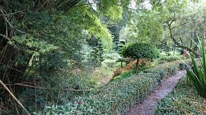 Jardin Botanico De Santo Domingo Picture Of Santo Domingo Santo Domingo Province Tripadvisor