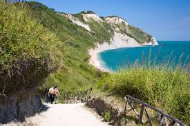 It contains mountainous regions and the conero regional park, which contain dense forests where black truffles are found. Alle Strande Des Conero