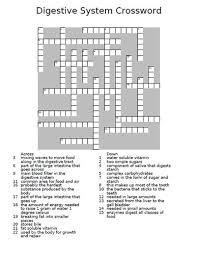 Read book skeletal muscular system crossword puzzle answer key. The Teacher Team S Shop Teaching Resources Tes