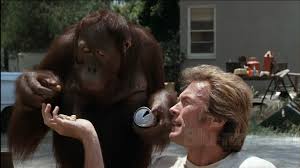 Check spelling or type a new query. Every Which Way But Loose Blu Ray