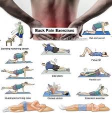 Pin On Back Workout