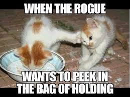 Meme 26 Funny Looking Cats Kittens Funny Funny Animals