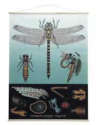 Ikea Libellule Recherche Google Rustique Moderne Style Rustique Ikea