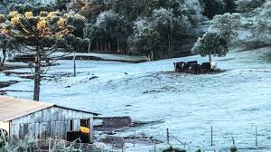 Gigaguenstig.de has been visited by 10k+ users in the past month Frio Intenso Causa Geada Forte No Rio Grande Do Sul Radio Capital Web