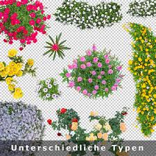 Weitere ideen zu blumenrahmen, blumen hintergründe, hintergrundbilder. Top View Flowers Freigestellte Blumen Als Draufsicht Von Oben Als Png Download