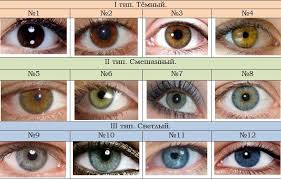 Eye Color Of The Komi People