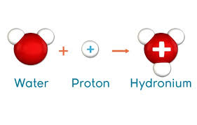 Mar 09, 2020 · if you know the concentration of an acid solution in molarity, you can use a formula to calculate the concentration of hydronium ions. Calculation Of Hydronium Ion Concentration Science Online