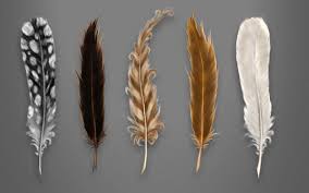 Resultado de imagen de plumas