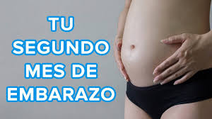 Después de los seis meses de embarazo el tiempo pasa volando. Tu Segundo Mes De Embarazo Asi Crece Tu Bebe Asi Cambia Tu Cuerpo Youtube