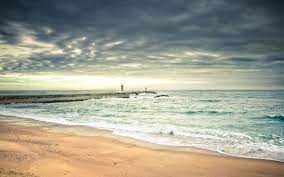 We did not find results for: Beach Hd Wallpaper Background Image 1920x1200