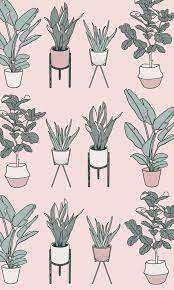 Pin On Flower Reference