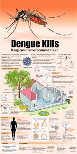 .yang berpotensi menjadi punca tempat pembiakan nyamuk aedes 1.2.2 membangunkan amalan terbaik (good practice) reka bentuk komponen bangunan dan persekitaran sebagai usaha jangka masa panjang dalam mencegah pembiakan nyamuk aedes 1.2.3 menyediakan satu rujukan untuk. Aedes Killers On The Loose