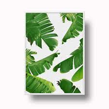 662x900 palm leaves coloring page. Banana Leaf Printable Tropical Leaf Print Banana Leaf Poster Palm Leaf Print Tropical Art Botanical Leaf Printable Art Scandi Print Tropical Art Tropical Leaf Print Tropical Leaf Print Banana Leaves