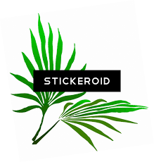 Palm clip art palm sunday. Download Hd Sukkot Palm Branch Palm Frond Clip Art Transparent Png Image Nicepng Com