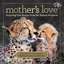 Mother S Love Photos National Geographic Mothers Love Mother National Geographic