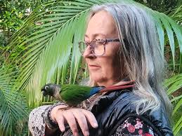 Is anyone missing this pretty bird? By Belvidere High School.