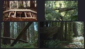 Galactic Backpacking Part 7 Visiting Real World Endor And Naboo S Great Grass Plains Starwars Com Endor Northern California Visiting