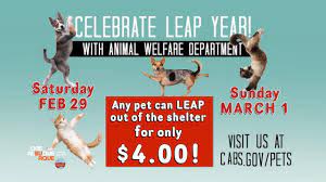 Maybe you would like to learn more about one of these? Lucky Paws Home Facebook