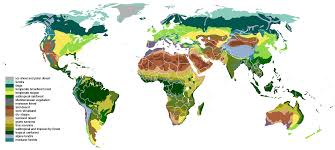 Between the tropic of cancer and the tropic of capricorn. Biome Wikipedia