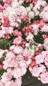 Peonies Iphone Wallpaper Climbingroses Dahlias Iphone Pansies Peonies Rareflowers Flower Iphone Wallpaper Flower Aesthetic Flower Wallpaper