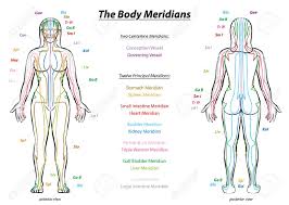 Meridian System Chart Female Body With Principal And Centerline